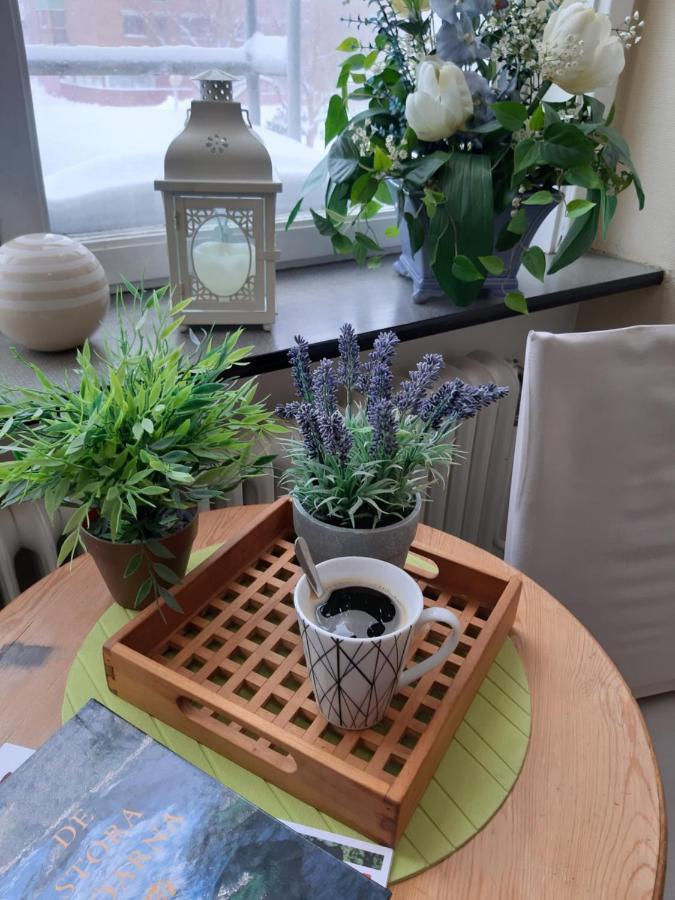 Pitea Vandrarhem Extérieur photo